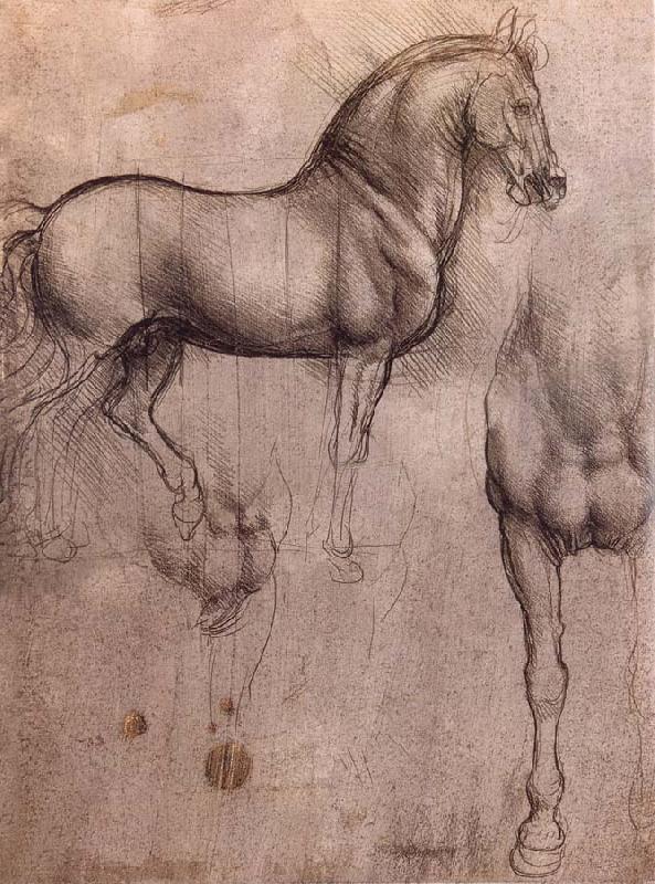 LEONARDO da Vinci Studies of horses china oil painting image